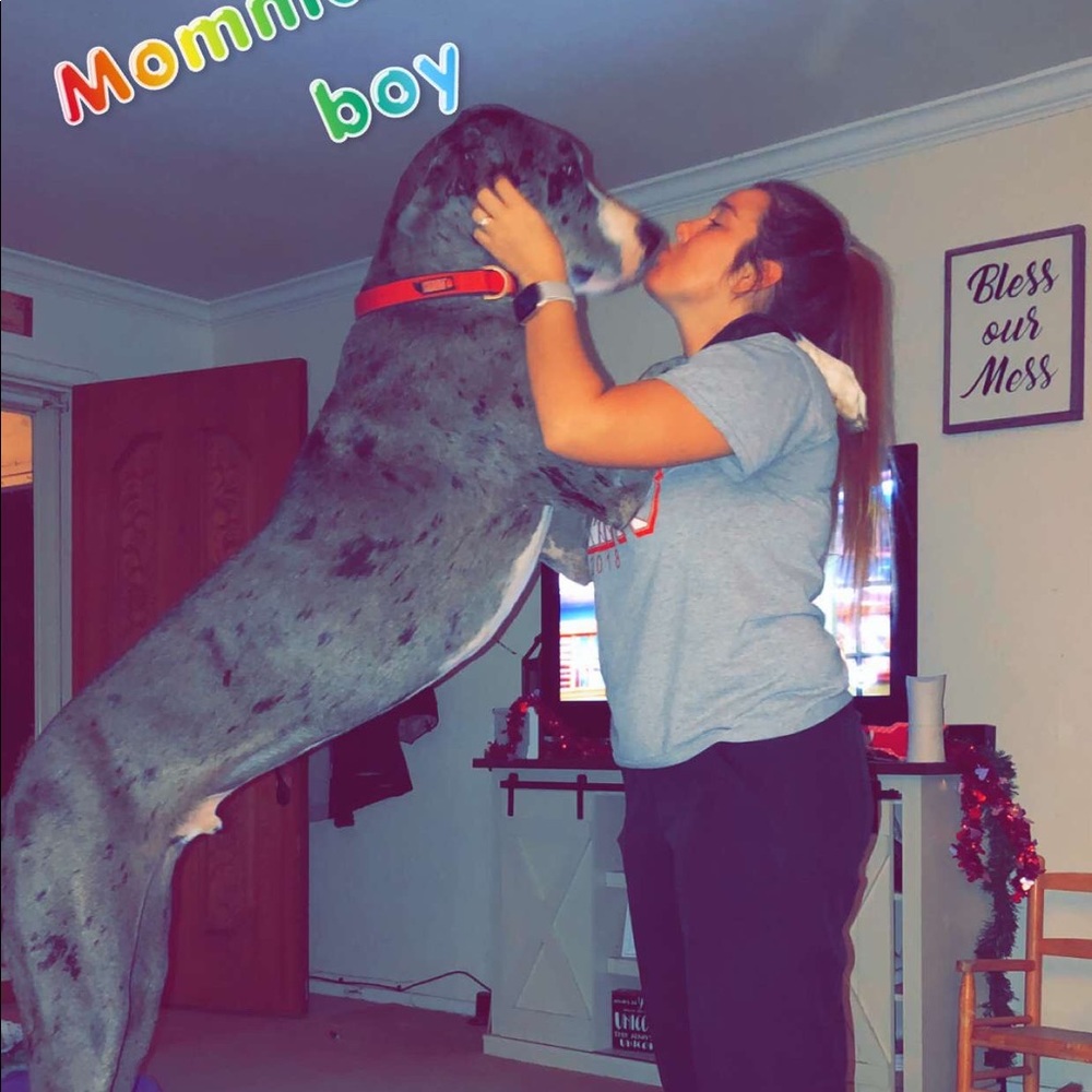 Meet your Posher, Klaye